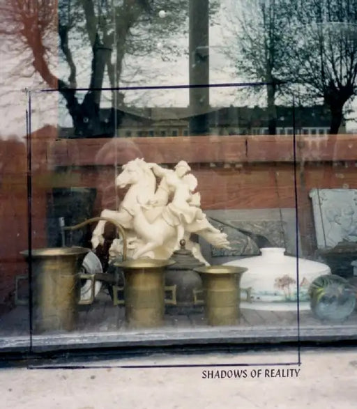 Shadows of Reality: A Catalogue of W.G. Sebald's Photographic Materials by Clive Scott