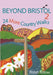 Beyond Bristol 2 by Robin Tetlow