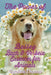The Power of Bailey, Bach & Verbeia Essences for Animals by Caroline Thomas