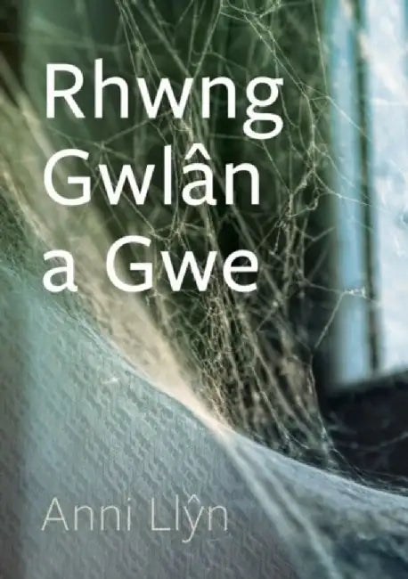 Cyfres Tonfedd Heddiw: Rhwng Gwlan a Gwe by Anni Llyn