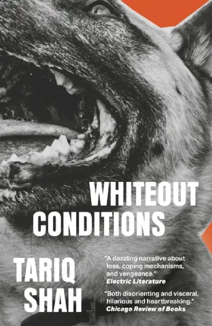 Whiteout Conditions by Tariq Shah