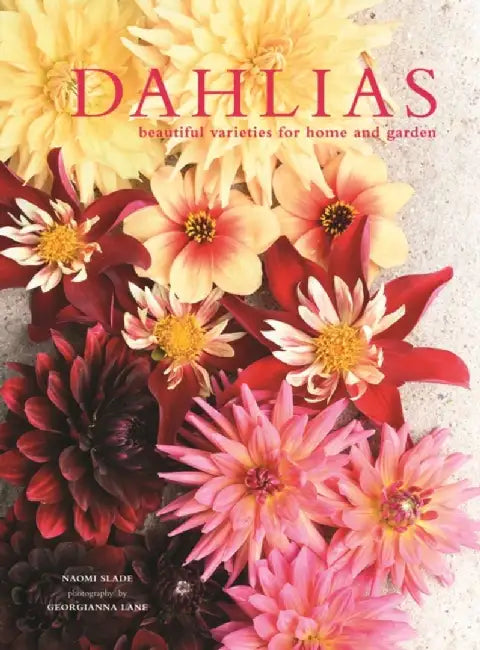 Dahlias by Naomi Slade