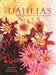 Dahlias by Naomi Slade