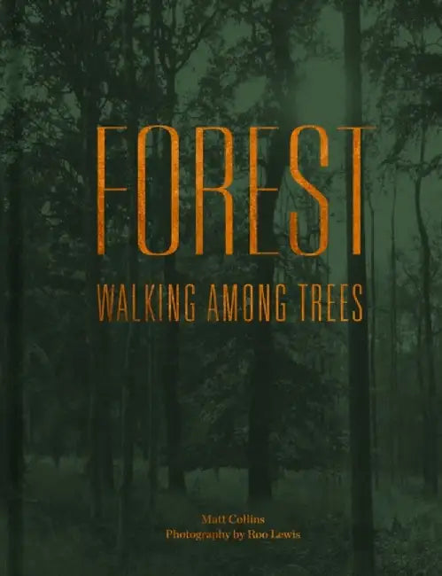 Forest by Matt Collins
