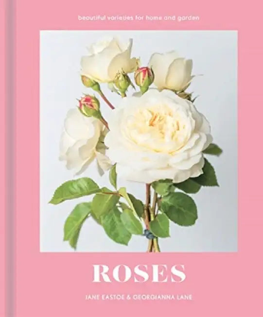 Roses by Jane Eastoe