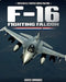 F-16 Fighting Falcon by Bertie Simonds