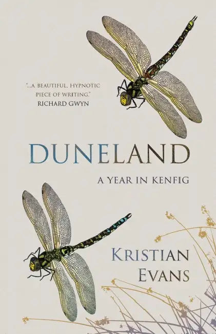 Duneland: A Year in Kenfig by Kristian Evans