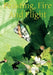 Feasting, Fire And Flight by Meryl M. Williams
