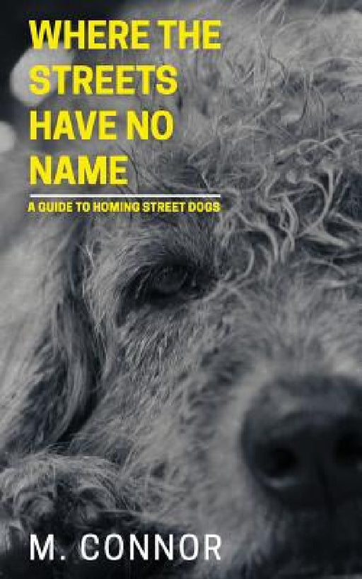 Where the Streets Have No Name: A guide to homing street dogs by Mia-Louise Connor