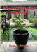 Advanced Flying Star Feng Shui by Stephen Skinner