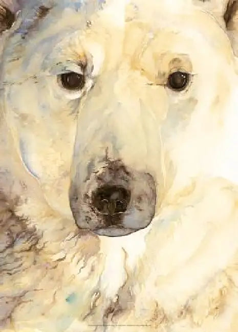 The Ice Bear Poster by Jackie Morris