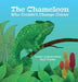 The Chameleon Who Couldn't Change Colour by Gail Clarke