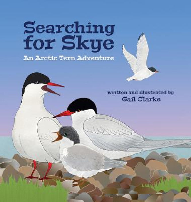 Searching for Skye: An Arctic Tern Adventure by Gail Clarke