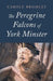 The Peregrine Falcons of York Minster by Carole Bromley
