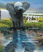 You are Noah!: Introduction by Hein Prinsloo Curson