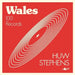Wales: 100 Records by Huw Stephens