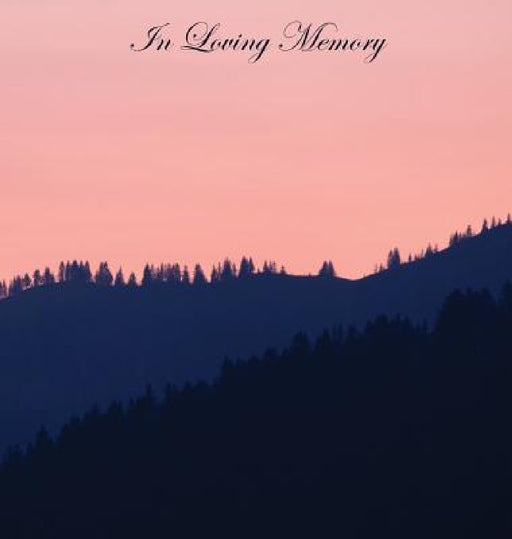 In Loving Memory Funeral Guest Book, Wake, Loss, Celebration of Life, Memorial Service, Funeral Home, Church, Condolence Book, Thoughts and In Memory by Lollys Publishing