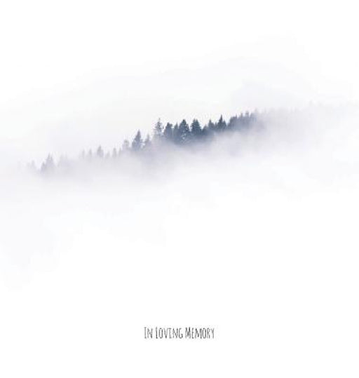 In Loving Memory Funeral Guest Book, Celebration of Life, Wake, Loss, Love, Memorial Service, Condolence Book, Funeral Home, Church, Thoughts and In M by Lollys Publishing