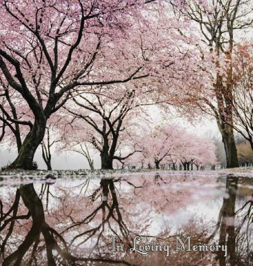 In Loving Memory Funeral Guest Book, Celebration of Life, Wake, Loss, Memorial Service, Love, Condolence Book, Funeral Home, Missing You, Church, Thou by Lollys Publishing