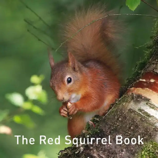 The Red Squirrel Book by Jane Russ
