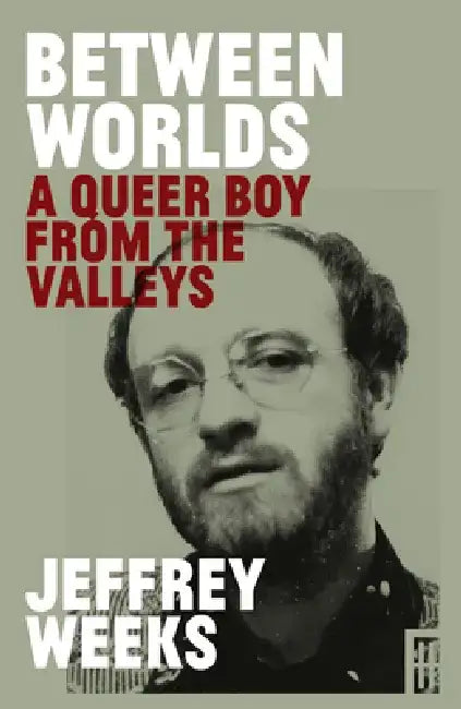Between Worlds: A Queer Boy from the Valleys by Jeffrey Weeks