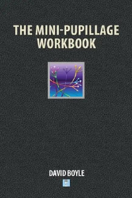 The Mini-Pupillage Workbook by David Boyle
