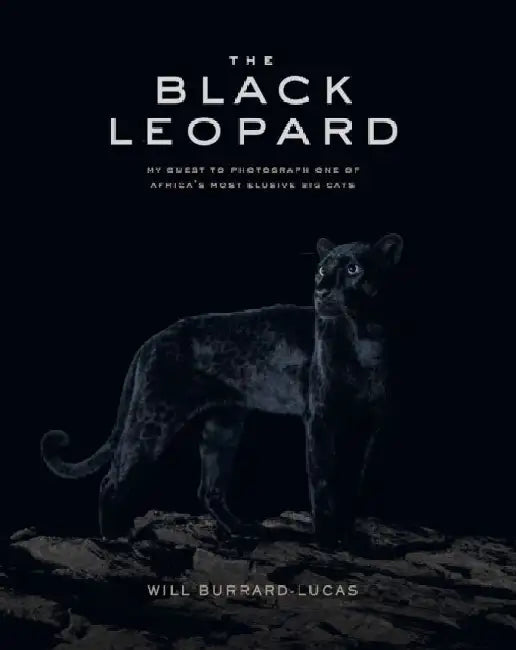 The Black Leopard by Will Burrard-Lucas