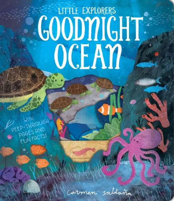 Goodnight Ocean by Becky Davies