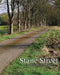 Stane Street: From Chichester to London by Richard Powell