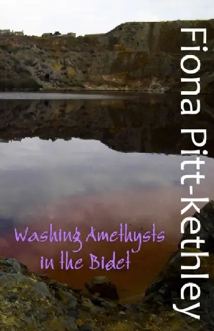 Washing Amethysts in the Bidet by Fiona Pitt-Kethley