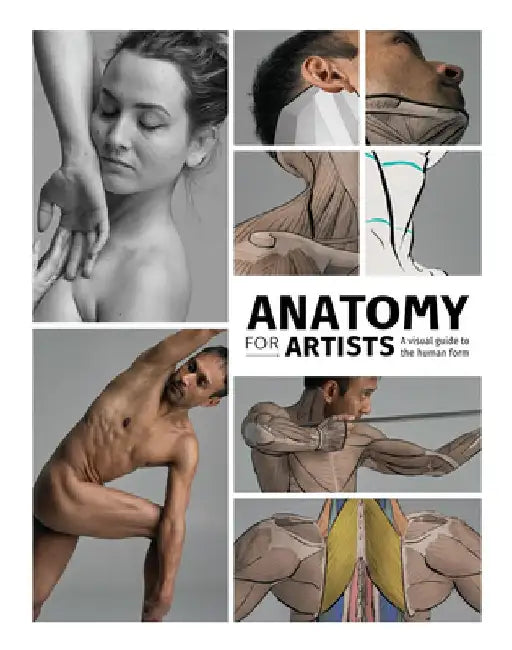 Anatomy for Artists: A Visual Guide to the Human Form by Publishing