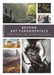 Beyond Art Fundamentals by 3DTotal Publishing