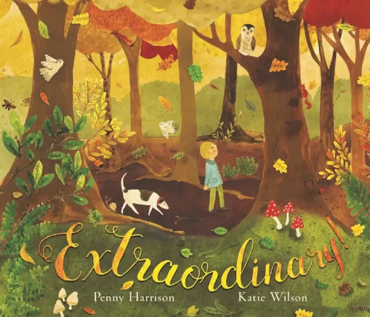 Extraordinary! by Penny Harrison