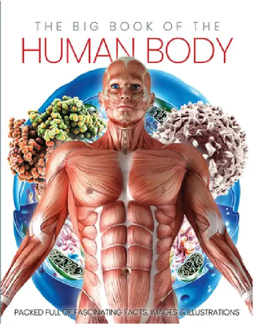 The Big Book of the Human Body by Katharine Marsh