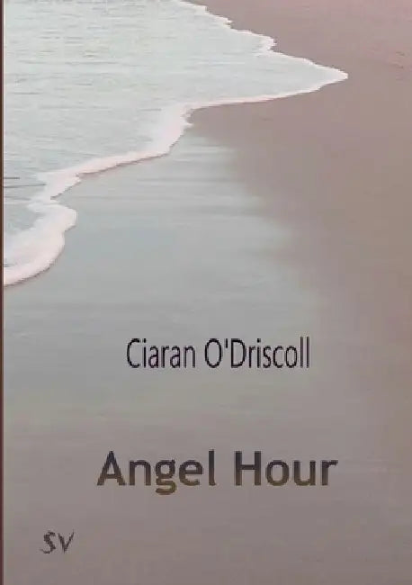 Angel Hour by Ciaran O'Driscoll