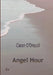 Angel Hour by Ciaran O'Driscoll