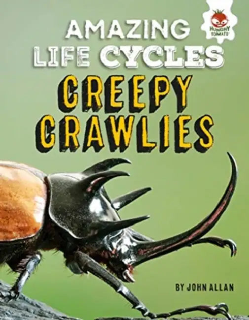 Amazing Life Cycles-Minibeasts by John Allan