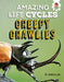 Amazing Life Cycles-Minibeasts by John Allan