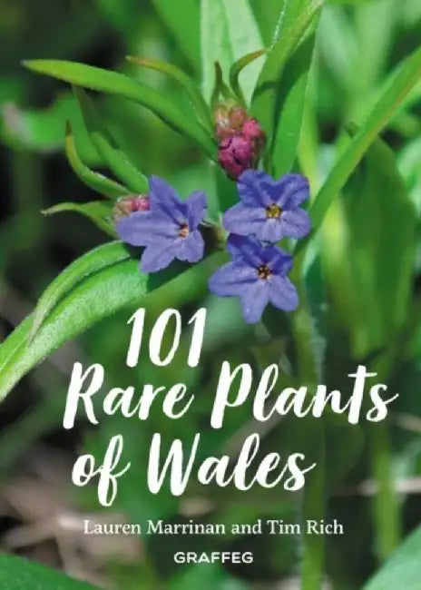 101 Rare Plants of Wales by Lauren Marrinan