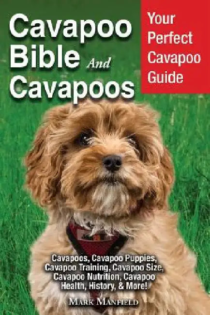 Cavapoo Bible And Cavapoos: Your Perfect Cavapoo Guide Cavapoos, Cavapoo Puppies, Cavapoo Training, Cavapoo Size, Cavapoo Nutrition, Cavapoo Healt by Mark Manfield