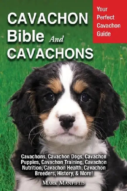 Cavachon Bible And Cavachons: Your Perfect Cavachon Guide Cavachons, Cavachon Dogs, Cavachon Puppies, Cavachon Training, Cavachon Nutrition, Cavacho by Mark Manfield