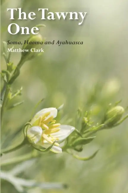 The Tawny One: Soma, Haoma and Ayahuasca by Matthew Clark