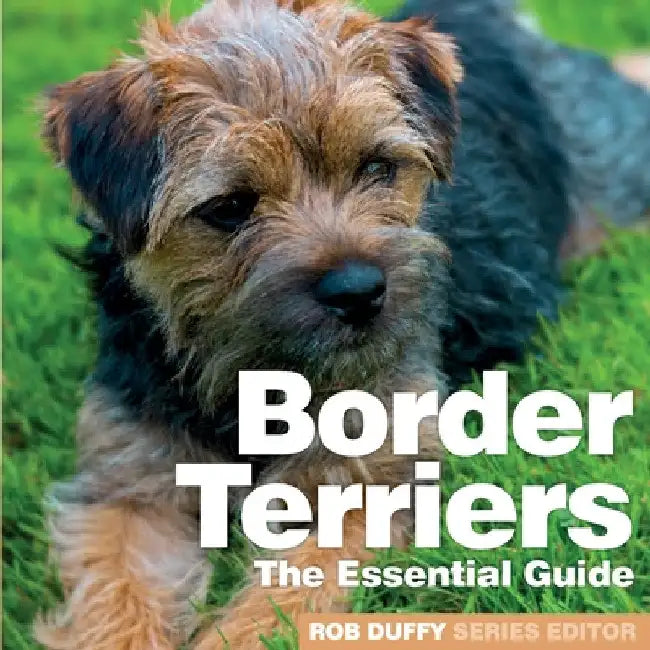 Border Terriers: The Essential Guide by Rob Duffy