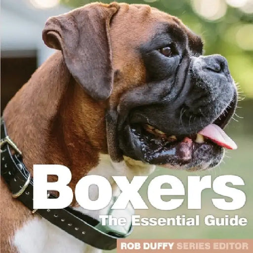 Boxers: The Essential Guide by Rob Duffy