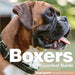 Boxers: The Essential Guide by Rob Duffy