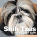 Shih Tzus: The Essential Guide by Rob Duffy