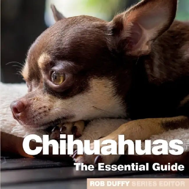 Chichuahuas: The Essential Guide by Rob Duffy