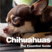 Chichuahuas: The Essential Guide by Rob Duffy