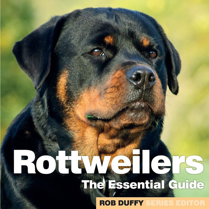 Rottweilers: The Essential Guide by Duffy, Robert