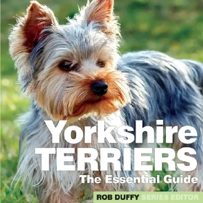 Yorkshire Terriers: The Essential Guide by Robert Duffy